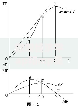 微观经济学ap和mp是什么意思？读懂边际产量的决策密码