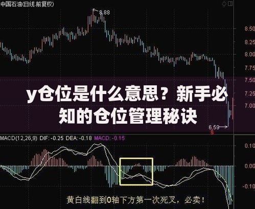 y仓位是什么意思？新手必知的仓位管理秘诀