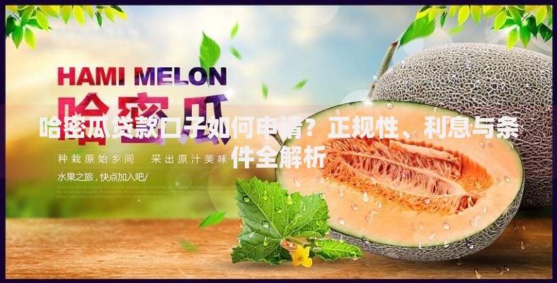 哈密瓜贷款口子如何申请？正规性、利息与条件全解析