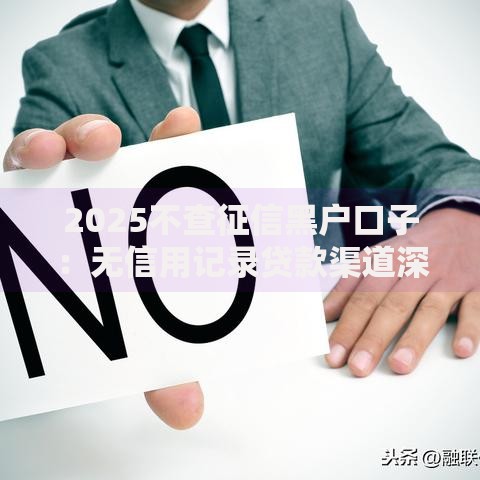 2025不查征信黑户口子：无信用记录贷款渠道深度解析