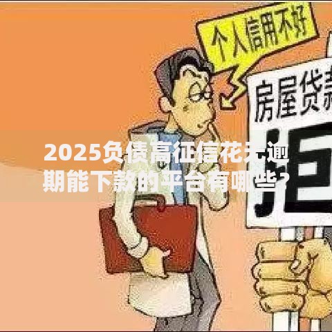 2025负债高征信花无逾期能下款的平台有哪些？权威解析助你快速申贷