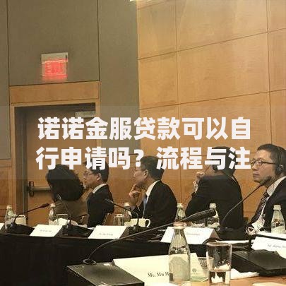 诺诺金服贷款可以自行申请吗？流程与注意事项全解析！