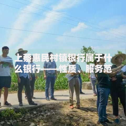 上蔡惠民村镇银行属于什么银行——性质、服务范围及特点解析