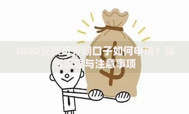3000贷款可分期口子如何申请？详细流程与注意事项