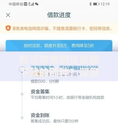 有没有黑网贷直接下款的那种？深度解析风险与防范