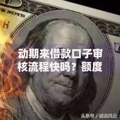 动期来借款口子审核流程快吗？额度利率全面解析