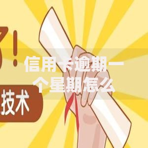 信用卡逾期一个星期怎么办？紧急补救攻略与信用修复指南