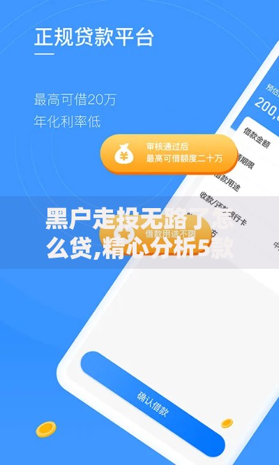 黑户走投无路了怎么贷,精心分析5款手机平台贷款