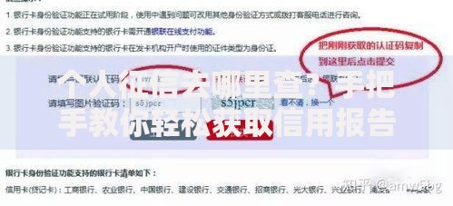 个人征信去哪里查？手把手教你轻松获取信用报告