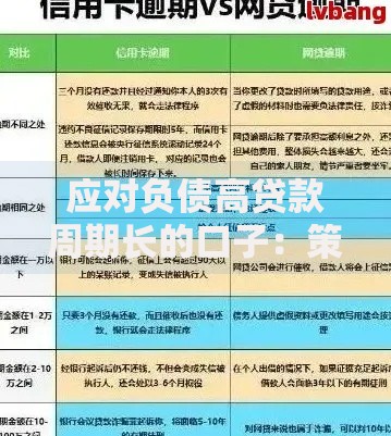 应对负债高贷款周期长的口子：策略与解决方案详解