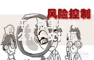 平安额宝是什么？一文搞懂它的收益、风险与使用技巧