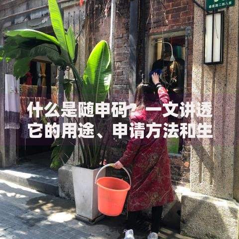 什么是随申码？一文讲透它的用途、申请方法和生活便利性