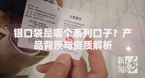 银口袋是哪个系列口子？产品背景与资质解析