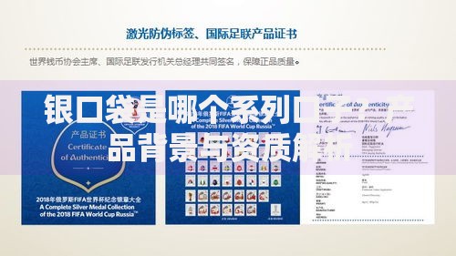 银口袋是哪个系列口子？产品背景与资质解析