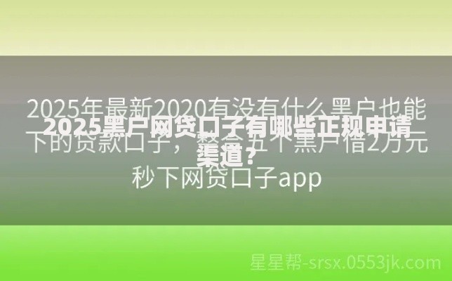 2025黑户网贷口子有哪些正规申请渠道？