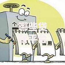 哪些贷款平台不看查询征信和负债？正规渠道深度解析