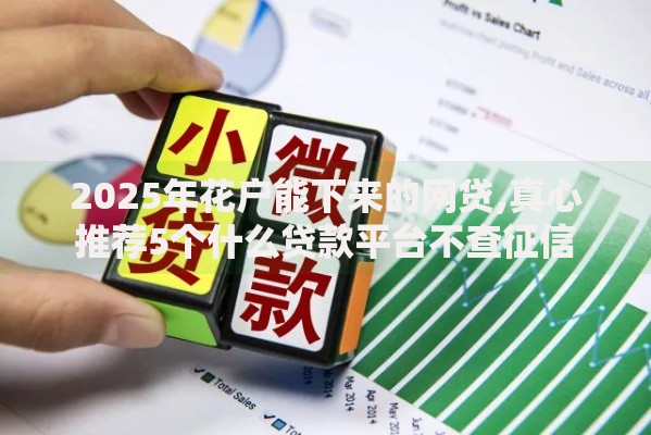 2025年花户能下来的网贷,真心推荐5个什么贷款平台不查征信