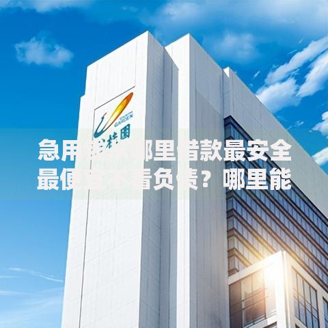 急用钱从哪里借款最安全最便宜不看负债？哪里能借到低息安全贷款