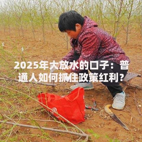 2025年大放水的口子：普通人如何抓住政策红利？