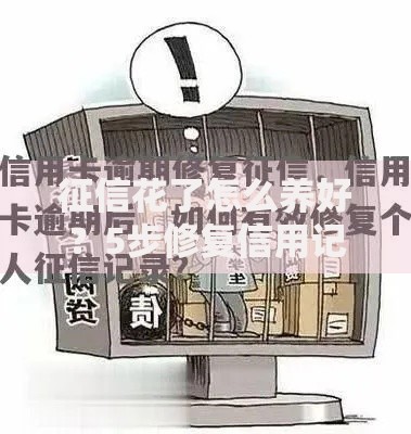 征信花了怎么养好？5步修复信用记录攻略