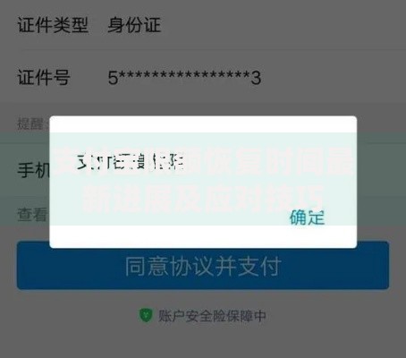 支付宝限额恢复时间最新进展及应对技巧