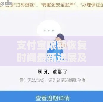 支付宝限额恢复时间最新进展及应对技巧