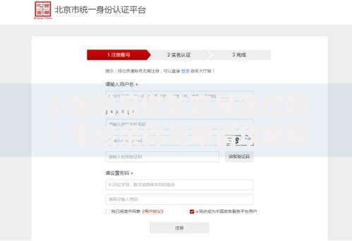 小鱼优品借款容易通过吗？审核条件与申请攻略解析