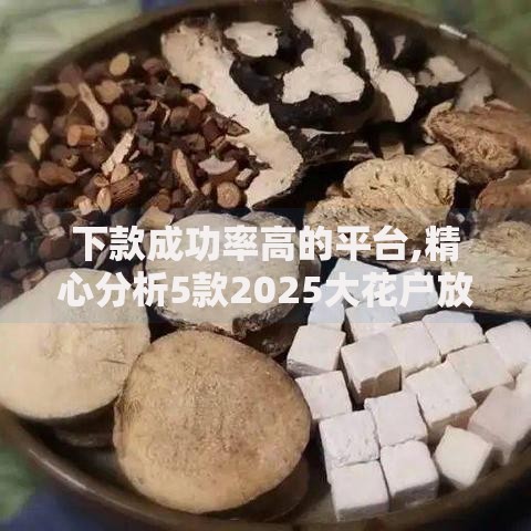 下款成功率高的平台,精心分析5款2025大花户放水秒下款的口子