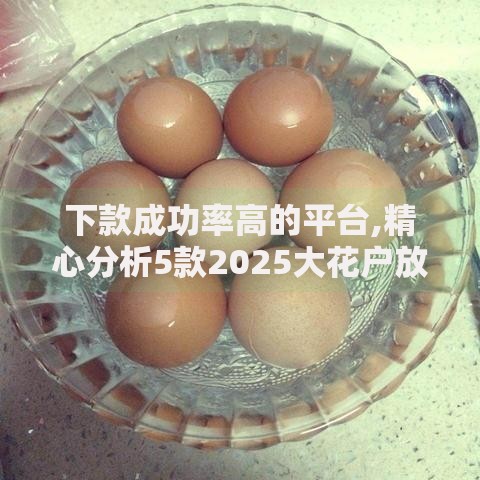 下款成功率高的平台,精心分析5款2025大花户放水秒下款的口子