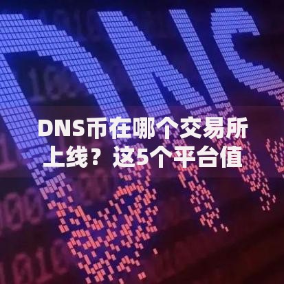 DNS币在哪个交易所上线？这5个平台值得重点关注
