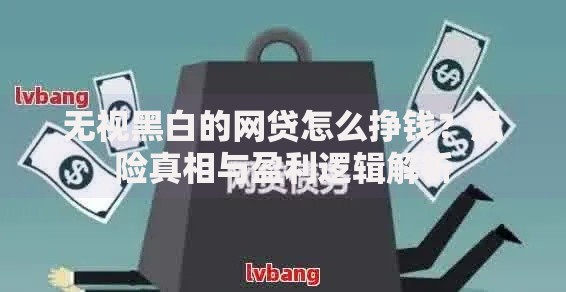 无视黑白的网贷怎么挣钱？风险真相与盈利逻辑解析