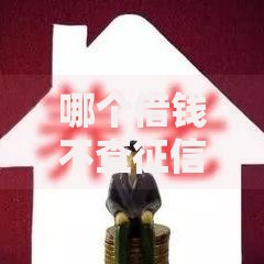 哪个借钱不查征信？深度解析低门槛贷款渠道