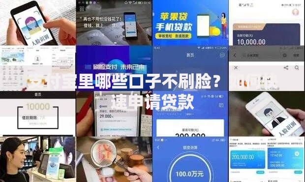 支付宝里哪些口子不刷脸？如何快速申请贷款