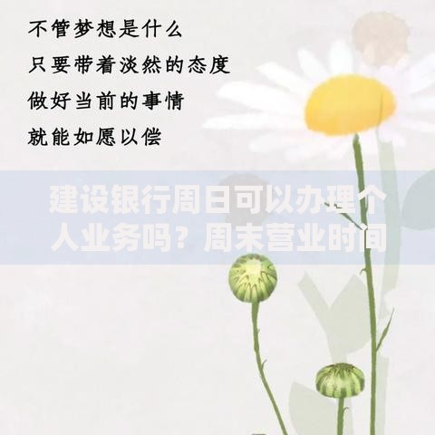 建设银行周日可以办理个人业务吗？周末营业时间与注意事项