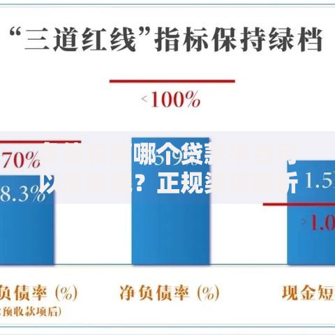 负债较高哪个贷款平台可以借款呢？正规渠道解析与避坑指南