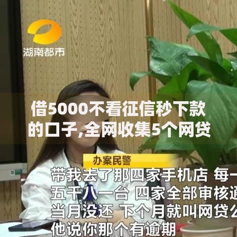 借5000不看征信秒下款的口子,全网收集5个网贷平台借钱不上征信记录的