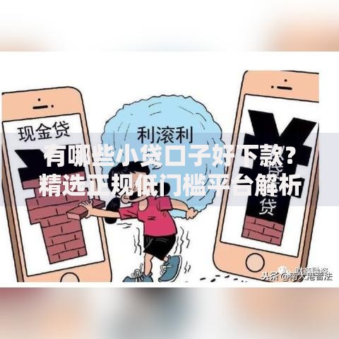 有哪些小贷口子好下款？精选正规低门槛平台解析