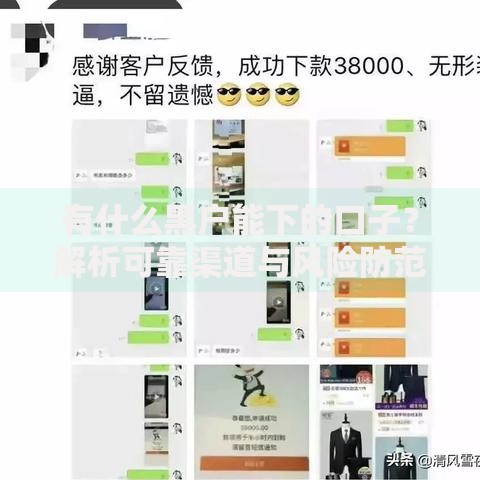 有什么黑户能下的口子？解析可靠渠道与风险防范