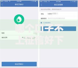 哪个口子不上征信好下款？最新贷款渠道深度解析