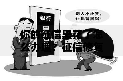 你的征信黑花了怎么办理？征信修复与贷款解决方案指南