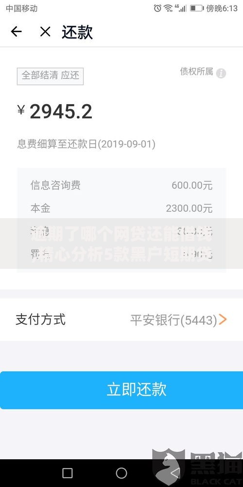 逾期了哪个网贷还能借钱,精心分析5款黑户短期贷口子