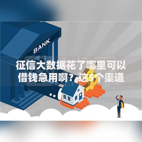 征信大数据花了哪里可以借钱急用啊？这5个渠道快速下款