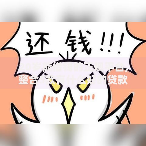 20岁能借钱的正规平台,整合5款有什么好的贷款平台