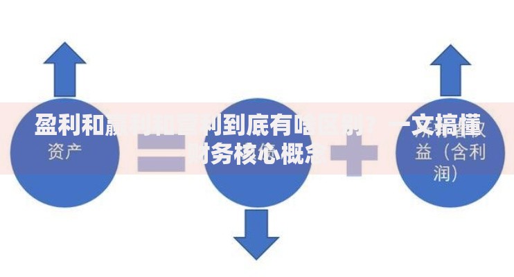 盈利和赢利和营利到底有啥区别？一文搞懂财务核心概念