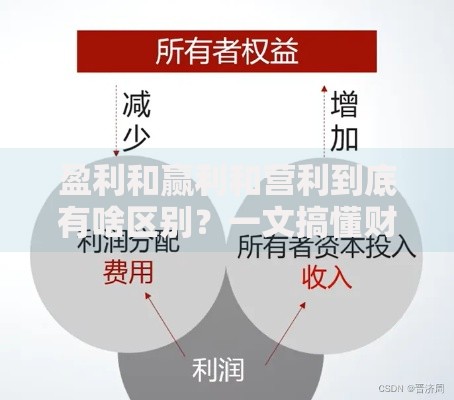 盈利和赢利和营利到底有啥区别？一文搞懂财务核心概念