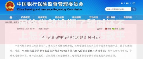 网络贷款逾期了暂时还不上怎么办,为您介绍5款平台可以百分百借款网贷