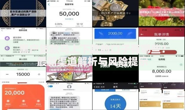 黑户贷款马上下款的口子有哪些？最新渠道解析与风险提示