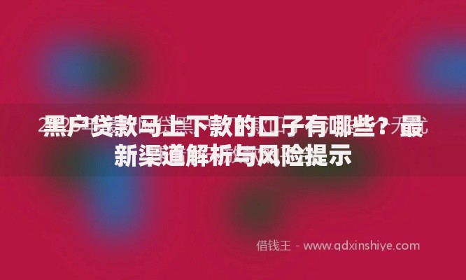 黑户贷款马上下款的口子有哪些？最新渠道解析与风险提示