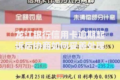 龙江银行信用卡逾期起诉后协商如何妥善处理？