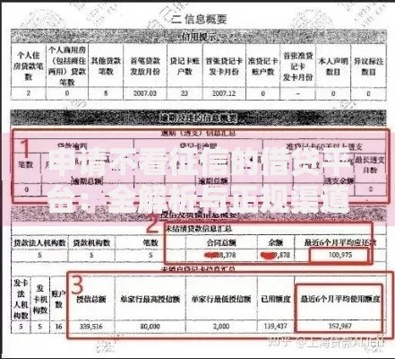 申请不看征信的借贷平台：全解析与正规渠道推荐